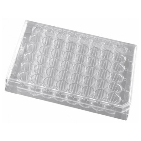Biologix Usa Cell Culture Plates, 48 Well, 50PK 141375